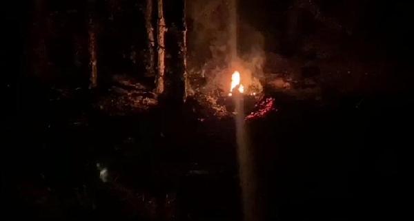 Bolu'da, orman yangını çıkarmaya çalıştığı iddiasıyla 2 şüpheli gözaltına alındı