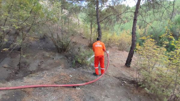 Karabük'te çıkan orman yangını söndürüldü
