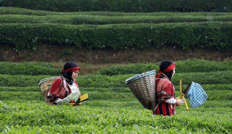 ÇAY ÜRETİCİDEN TÜKETİCİYE NASIL BU KADAR ZAMLANIYOR?