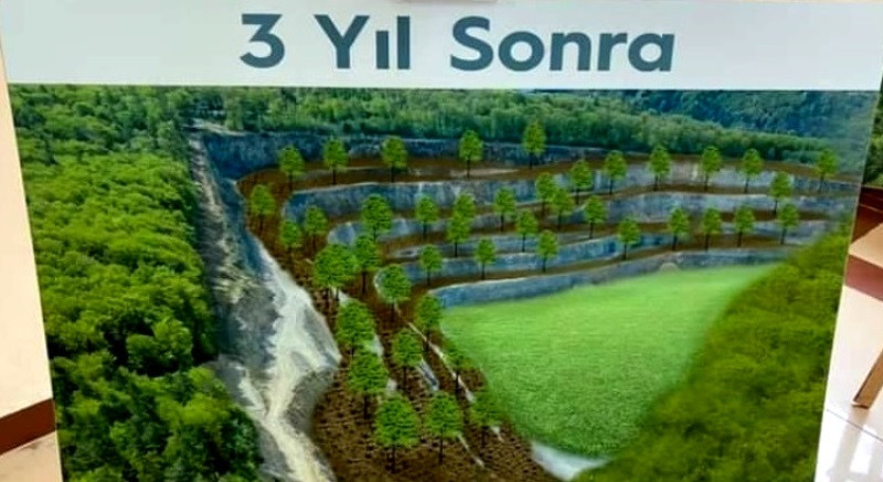 RİZE'DE TAŞOCAĞINA 2 BİN FİDAN DİKİLDİ